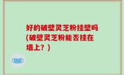好的破壁灵芝粉挂壁吗(破壁灵芝粉能否挂在墙上？)