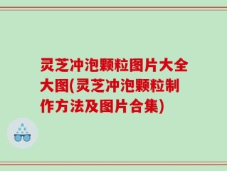 灵芝冲泡颗粒图片大全大图(灵芝冲泡颗粒制作方法及图片合集)