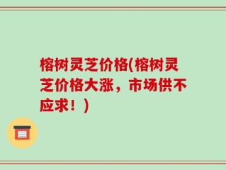 榕树灵芝价格(榕树灵芝价格大涨，市场供不应求！)