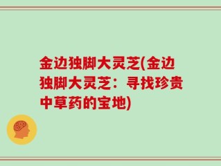 金边独脚大灵芝(金边独脚大灵芝：寻找珍贵中草药的宝地)