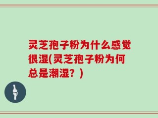 灵芝孢子粉为什么感觉很湿(灵芝孢子粉为何总是潮湿？)