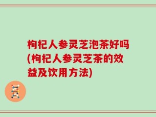 枸杞人参灵芝泡茶好吗(枸杞人参灵芝茶的效益及饮用方法)