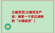 三塘灵芝(三塘灵芝产业：解密一个百亿级别的“小镇经济”)