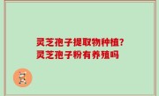 灵芝孢子提取物种植？灵芝孢子粉有养殖吗
