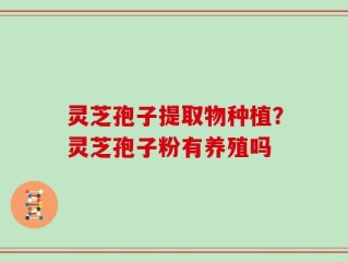 灵芝孢子提取物种植？灵芝孢子粉有养殖吗