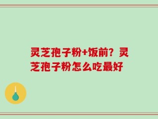 灵芝孢子粉+饭前？灵芝孢子粉怎么吃最好
