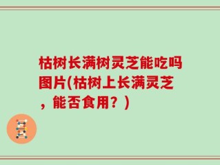 枯树长满树灵芝能吃吗图片(枯树上长满灵芝，能否食用？)