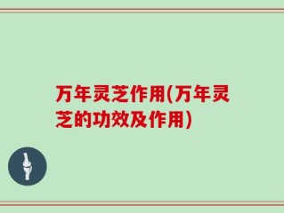 万年灵芝作用(万年灵芝的功效及作用)