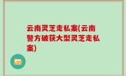 云南灵芝走私案(云南警方破获大型灵芝走私案)