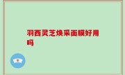 羽西灵芝焕采面膜好用吗