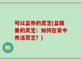 可以盆养的灵芝(盆栽里的灵芝：如何在家中养活灵芝？)