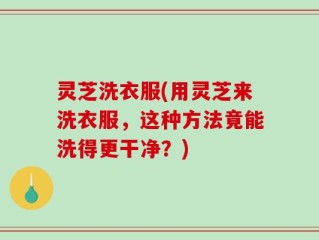 灵芝洗衣服(用灵芝来洗衣服，这种方法竟能洗得更干净？)