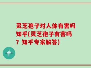 灵芝孢子对人体有害吗知乎(灵芝孢子有害吗？知乎专家解答)
