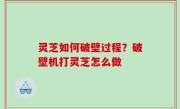 灵芝如何破壁过程？破壁机打灵芝怎么做