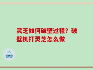灵芝如何破壁过程？破壁机打灵芝怎么做