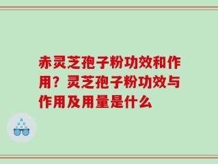 赤灵芝孢子粉功效和作用？灵芝孢子粉功效与作用及用量是什么