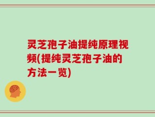 灵芝孢子油提纯原理视频(提纯灵芝孢子油的方法一览)