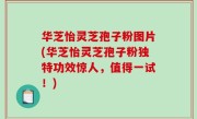 华芝怡灵芝孢子粉图片(华芝怡灵芝孢子粉独特功效惊人，值得一试！)