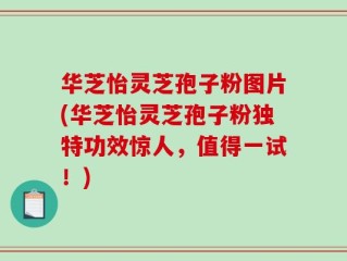 华芝怡灵芝孢子粉图片(华芝怡灵芝孢子粉独特功效惊人，值得一试！)
