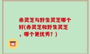 赤灵芝与野生灵芝哪个好(赤灵芝和野生灵芝，哪个更优秀？)
