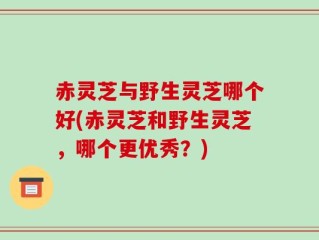 赤灵芝与野生灵芝哪个好(赤灵芝和野生灵芝，哪个更优秀？)