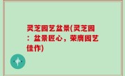 灵芝园艺盆景(灵芝园：盆景匠心，荣膺园艺佳作)