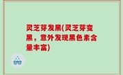 灵芝芽发黑(灵芝芽变黑，意外发现黑色素含量丰富)