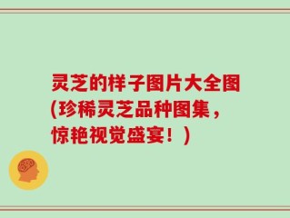 灵芝的样子图片大全图(珍稀灵芝品种图集，惊艳视觉盛宴！)