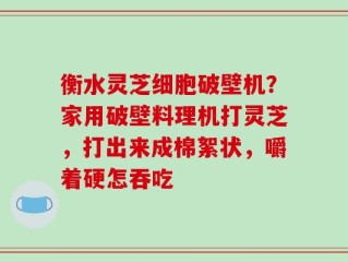 衡水灵芝细胞破壁机？家用破壁料理机打灵芝，打出来成棉絮状，嚼着硬怎吞吃