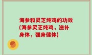 海参和灵芝炖鸡的功效(海参灵芝炖鸡，滋补身体，强身健体)