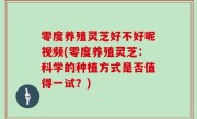 零度养殖灵芝好不好呢视频(零度养殖灵芝：科学的种植方式是否值得一试？)