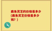 鹿角灵芝的价格是多少(鹿角灵芝价格是多少钱？)