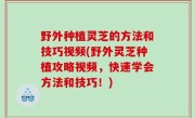 野外种植灵芝的方法和技巧视频(野外灵芝种植攻略视频，快速学会方法和技巧！)