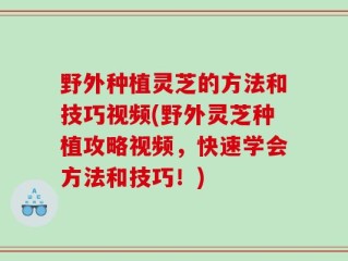 野外种植灵芝的方法和技巧视频(野外灵芝种植攻略视频，快速学会方法和技巧！)