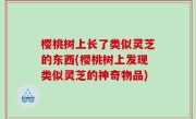 樱桃树上长了类似灵芝的东西(樱桃树上发现类似灵芝的神奇物品)