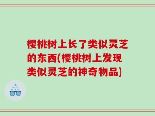 樱桃树上长了类似灵芝的东西(樱桃树上发现类似灵芝的神奇物品)