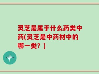 灵芝是属于什么药类中药(灵芝是中药材中的哪一类？)