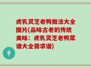 虎乳灵芝老鸭做法大全图片(品味古老的传统美味：虎乳灵芝老鸭菜谱大全需求谱)