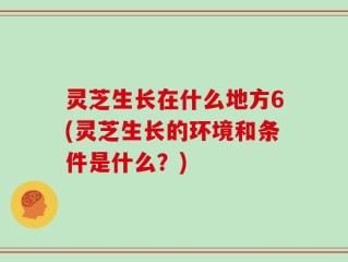 灵芝生长在什么地方6(灵芝生长的环境和条件是什么？)