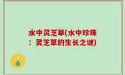 水中灵芝草(水中珍珠：灵芝草的生长之谜)