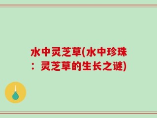 水中灵芝草(水中珍珠：灵芝草的生长之谜)