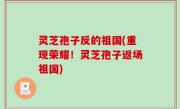 灵芝孢子反的祖国(重现荣耀！灵芝孢子返场祖国)