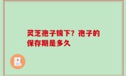 灵芝孢子镜下？孢子的保存期是多久
