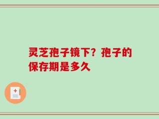 灵芝孢子镜下？孢子的保存期是多久
