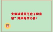 安徽破壁灵芝孢子粉直销？健康养生必备？
