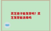 灵芝孢子能发芽吗？灵芝发芽能消毒吗