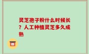 灵芝孢子粉什么时候长？人工种植灵芝多久成熟