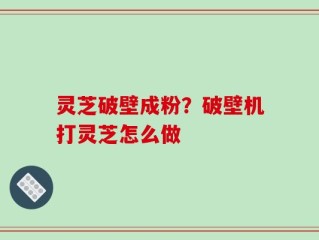 灵芝破壁成粉？破壁机打灵芝怎么做