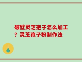 破壁灵芝孢子怎么加工？灵芝孢子粉制作法