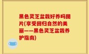黑色灵芝盆栽好养吗图片(享受回归自然的美丽——黑色灵芝盆栽养护指南)